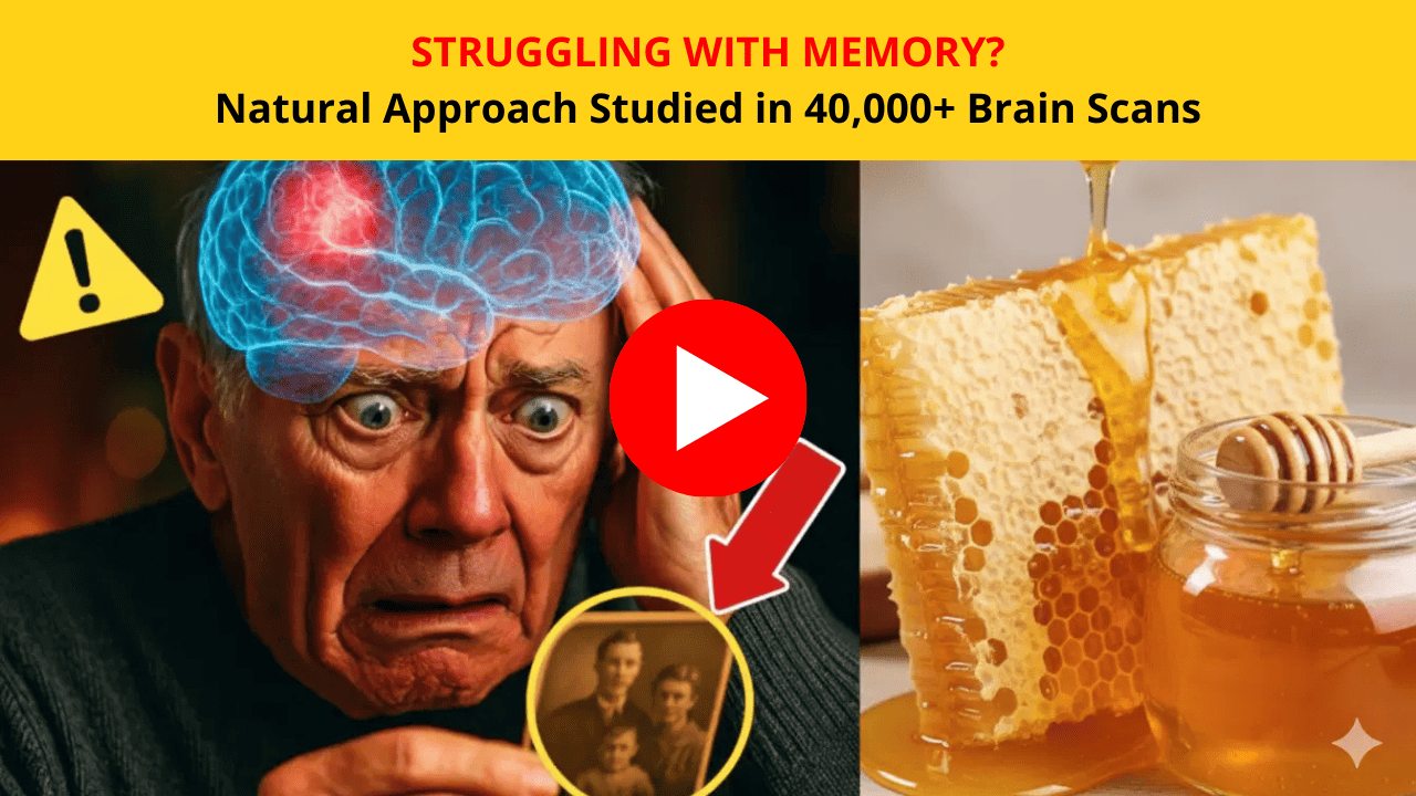 Research-Backed Memory Support Protocol